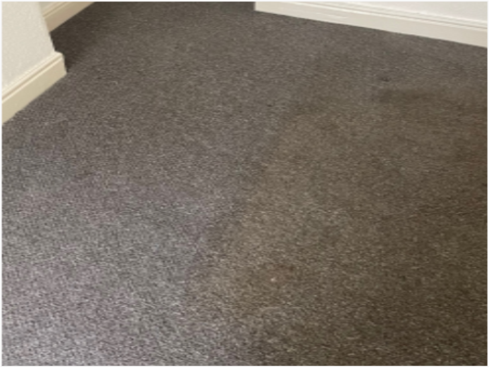 Wipe your feet on the way out