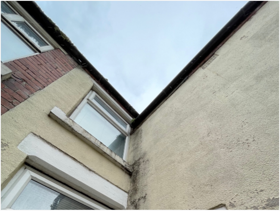 Gutter Vacuum Service