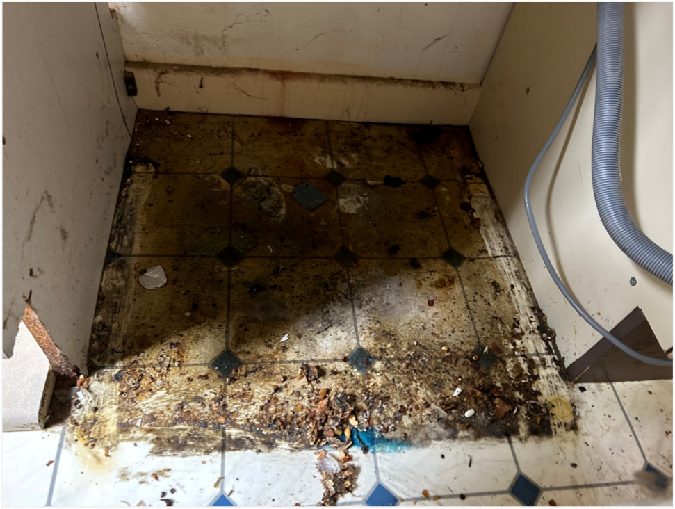 Where is the smell coming from